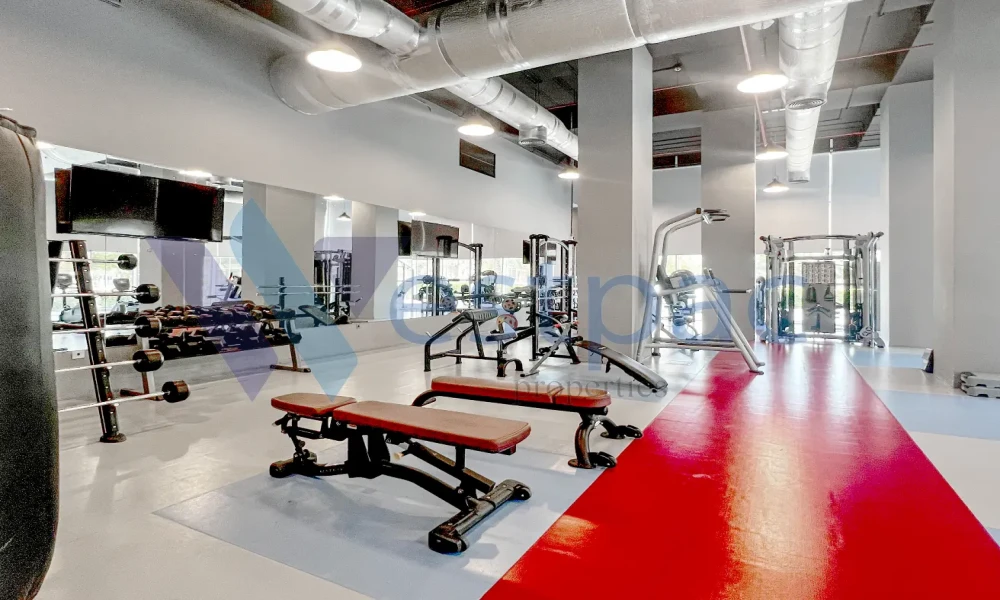 BILLS INCLUDED | MODERN 1 BHK | FF | BALCONY | - Image 7